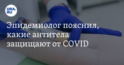 Эпидемиолог пояснил, какие антитела защищают от COVID