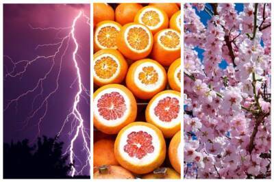 Оранжевый, фиолетовый и розовый: Shutterstock составил топ трендовых цветов на 2022 год