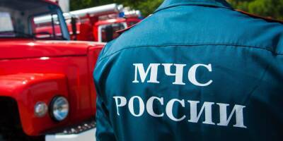 Замглавы и начальника отдела МЧС Москвы задержали по подозрению в получении взяток в 50 тысяч рублей