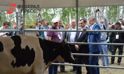 Шоп-тур в челябинскую глубинку: министр Кобылин рассказал о перспективах агротуризма