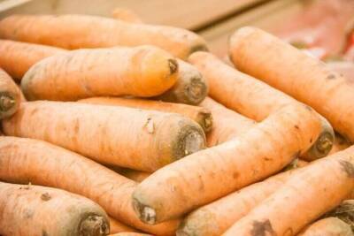 Как сохранить сочность моркови и свеклы: идеальный способ хранения