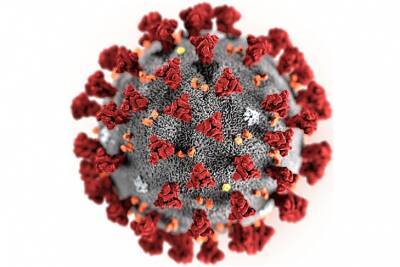 Ученый назвал имя первого в мире пациента с коронавирусом