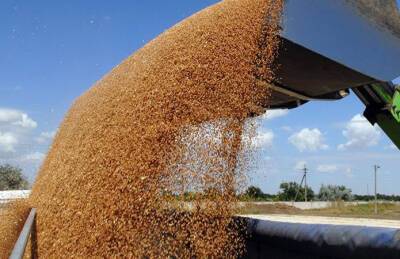Минэкономики: Украина намерена экспортировать более 60 млн т зерна
