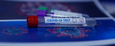 Комздрав Петербурга исключил возможность выдачи QR-кодов по тестам на антитела