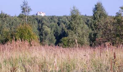Экологи: Москва потратит 28 млрд руб. на ненужное "благоустройство" парков