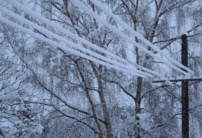 Рязанцев предупредили о мокром снеге и сильном ветре в субботу