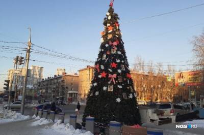 В центре Новосибирска установили первую в городе новогоднюю елку