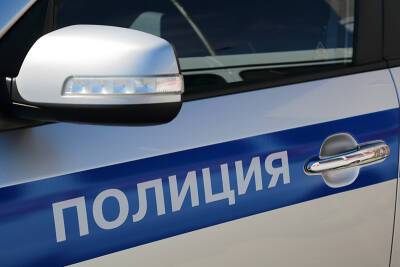 В Петербурге завели дело на полицейских после грубого задержания школьницы