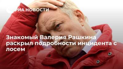 Знакомый депутата КПРФ Рашкина: в день инцидента с лосем охота не планировалась