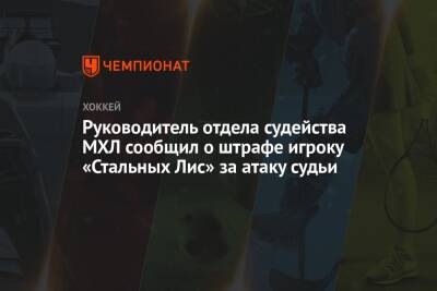 Руководитель отдела судейства МХЛ сообщил о штрафе игроку «Стальных Лис» за атаку судьи