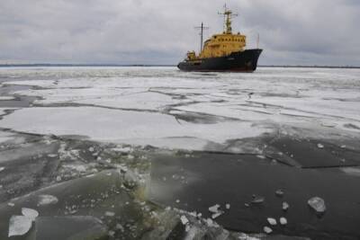 Впервые за семь лет ледообразование на ряде участков Севморпути началось раньше на две недели - interfax-russia.ru - Мурманск