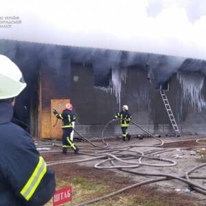 В столярном цеху в Кропивницком произошел масштабный пожар. Фото