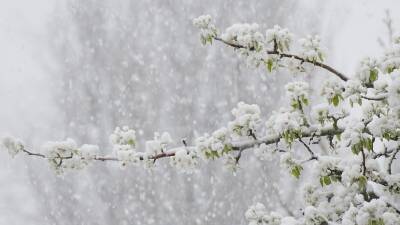 Метель и снег: МЧС Башкирии предупреждает о неблагоприятной погоде