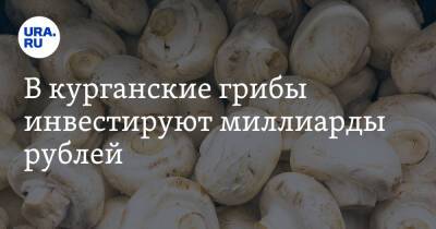 В курганские грибы инвестируют миллиарды рублей