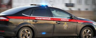 В Кыштовском районе НСО задержали мужчину по подозрению в убийстве пасынка