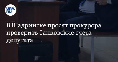 В Шадринске просят прокурора проверить банковские счета депутата