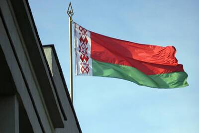 Белорусам пообещали показать новую Конституцию в декабре