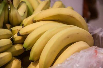 Нетривиальная подкормка для цветов из банановой кожуры: поливайте этим «проголодавшиеся» растения