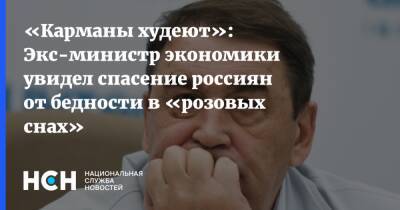 «Карманы худеют»: Экс-министр экономики увидел спасение россиян от бедности в «розовых снах»