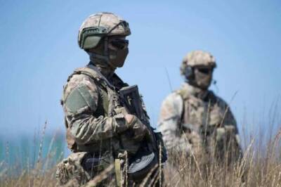 Ветеран НАТО описал сценарий прорыва обороны Крыма спецназом США