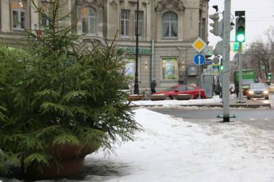 Синоптик сообщил, когда в Петербург придет зимняя погода
