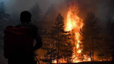 В РФ в 2021 году зафиксировали более 15 тыс. природных пожаров