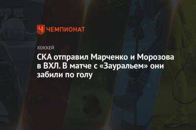 СКА отправил Марченко и Морозова в ВХЛ. В матче с «Зауральем» они забили по голу