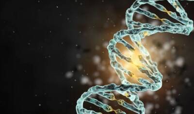Ученые создали первую искусственную геномную ДНК