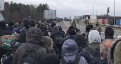 Оставили бревна и доски: мигранты ушли из лагеря на границе Польши и Беларуси (видео)