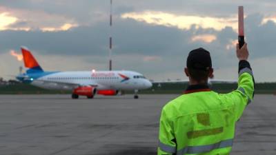 Кровь и мясо на фезюляже: самолет сбил косулю при посадке в Пскове