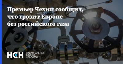 Андрей Бабиша - Премьер Чехии сообщил, что грозит Европе без российского газа - nsn.fm - Москва - Чехия