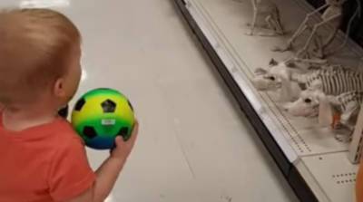 Реакция мальчика на игрушечного щенка к Хэллоуину развеселила юзеров сети (Видео)