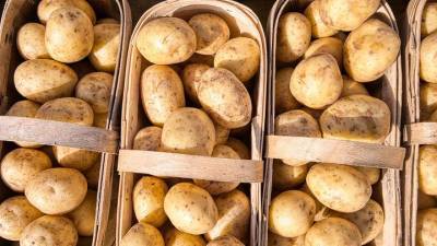 Диетолог рассказал, кому нельзя употреблять картофель - vm.ru