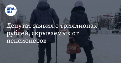 Депутат заявил о триллионах рублей, скрываемых от пенсионеров. «Пенсии выросли бы на 30%»
