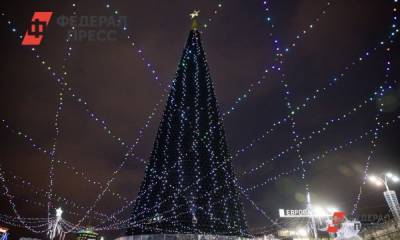 Новогодняя елка в Красноярске будет с двадцатиэтажку