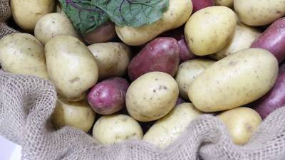 Диетолог рассказал об опасности картофеля для организма