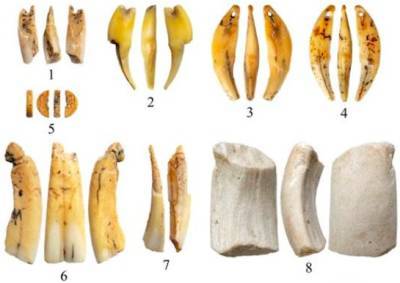 Сибирские археологи обнаружили в пещере на Алтае украшения из мамонтовой кости и мрамора