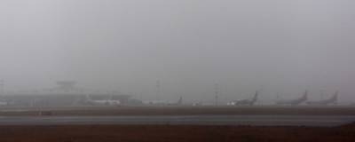 Из-за тумана в Москве задержано почти 90 авиарейсов