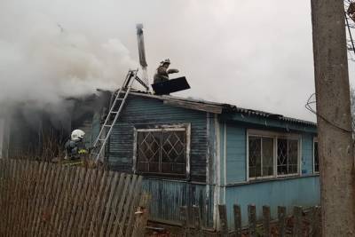 В новгородской деревне выгорел дотла жилой дом