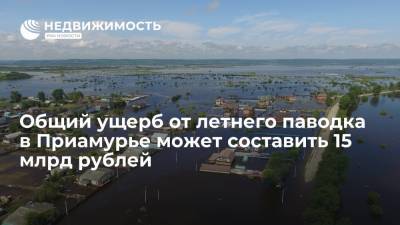 Общий ущерб от летнего паводка в Приамурье может составить 15 млрд рублей