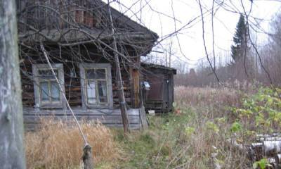Одинокая пенсионерка в Карелии осталась без дров на зиму