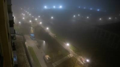 Эколог Хлынов рассказал, что сильный туман в Москве появился из-за техногенных факторов