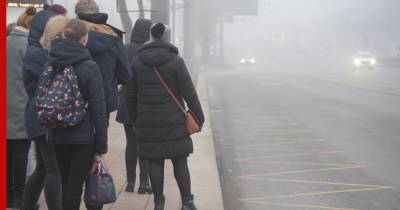 Туман в Москве: ГИБДД призвала отказаться от поездок на личных автомобилях