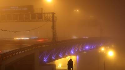 В Москве более 30 самолетов ушли на запасные аэродромы из-за тумана