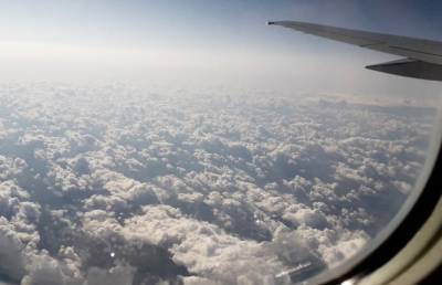 Из-за сильного тумана в Москве задержали или отменили более 100 авиарейсов