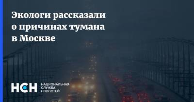 Экологи рассказали о причинах тумана в Москве