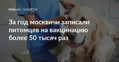 За год москвичи записали питомцев на вакцинацию более 50 тысяч раз