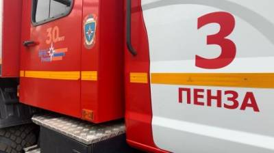 В Пензенской области за сутки при пожарах погибли два человека