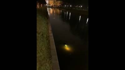 «Водяной» с аквалангом и фонарем всполошил петербуржцев ночью