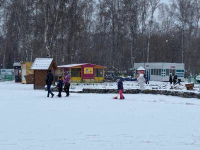 В Новосибирске похолодает до -23 в День народного единства